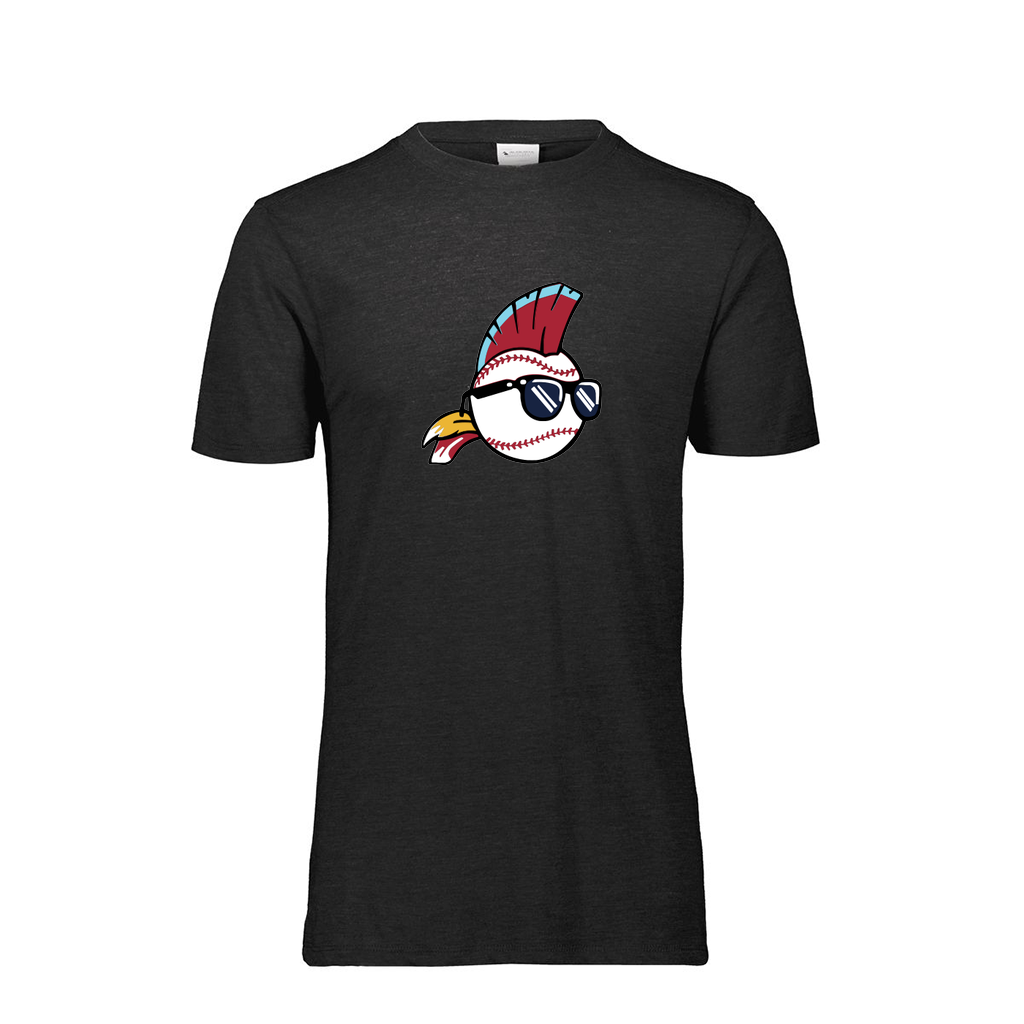 [FTSCUBBK-AS-LOGO1] Decker Adult Tri-Blend T-Shirt - Short Sleeve (Black, Adult S, Logo 1)