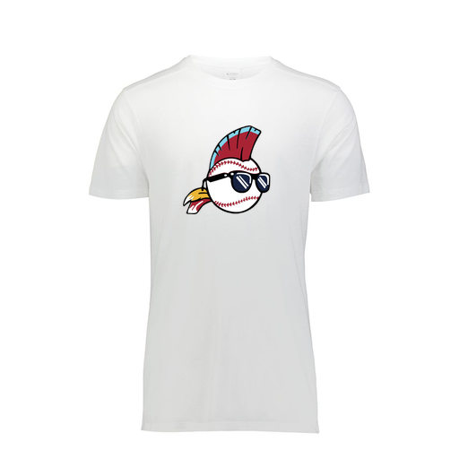 [FTSCUBWH-YS-LOGO1] Decker Youth Tri-Blend T-Shirt - Short Sleeve (Youth S, White, Logo 1)