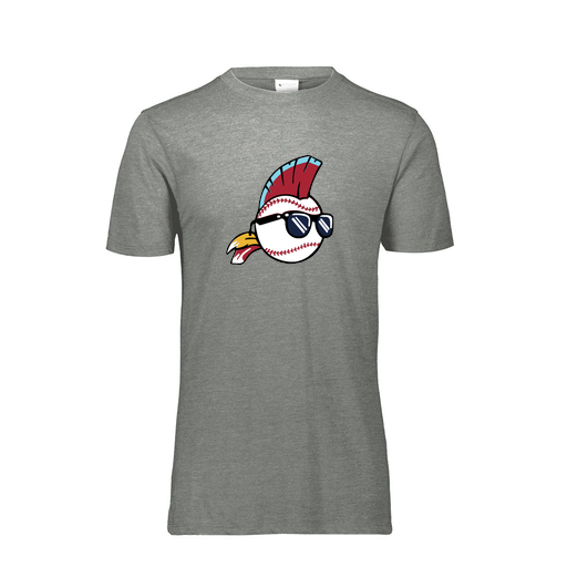 [FTSCUBGY-YS-LOGO1] Decker Youth Tri-Blend T-Shirt - Short Sleeve (Youth S, Gray, Logo 1)